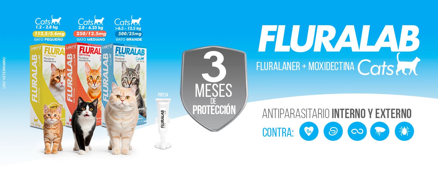 Promo 1