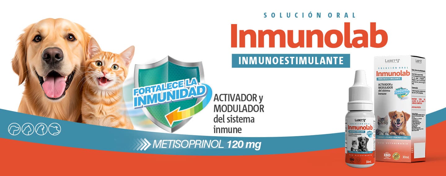 Promo 2
